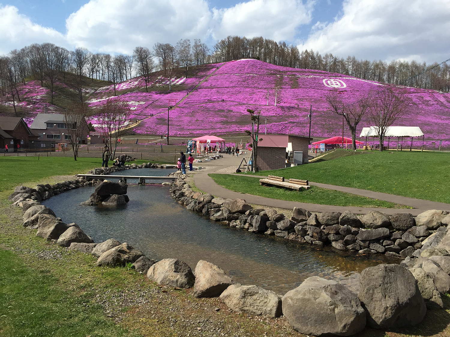 東藻琴村芝桜公園 中神土木設計事務所